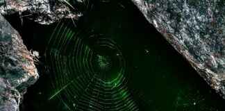 Xannytech.Net Dark Web Exposure Uncovered Xannytech.Net Dark Web Exposure Uncovered