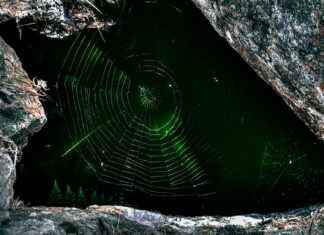 Xannytech.Net Dark Web Exposure Uncovered Xannytech.Net Dark Web Exposure Uncovered