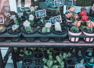 Web&Store Secrets: How To Boost Sales And Maximize Growth