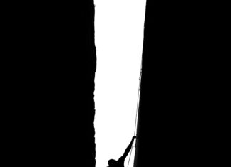 Harmonicode Sport: Discover The Ultimate Secret To Peak Performance