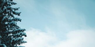 Oneworldcolumn Insights: How to Transform Your Travel Experience Today
