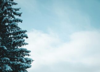 Oneworldcolumn Insights: How to Transform Your Travel Experience Today