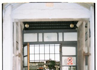 Adrianna Apostolec: Discover The Secrets Behind Her Success