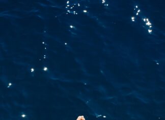 Juvgwg Secrets Revealed: Unlock Powerful Strategies for Success