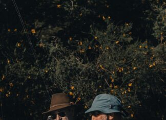 Asu Fall Break Ideas That Will Boost Your Campus Experience