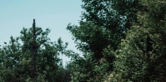 Semanticlast.com# Secrets: How To Boost Your Website Traffic Fast