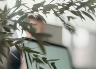 Abithelp.com Secrets: How To Maximize Your Online Success Today