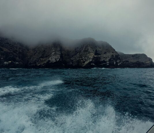 www Nothing2Hide Net: Discover Powerful Privacy Tips You Need Now