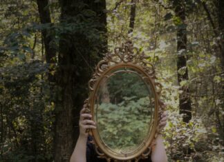 GetWildfulness.com Secrets Revealed: How To Unlock True Mindfulness