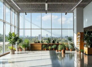 Key Green Card Policy Changes and What They Mean for You