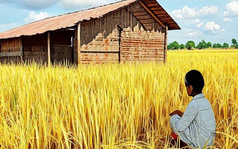 The Truth About Why Rural Businesses Struggle More With Inflation*