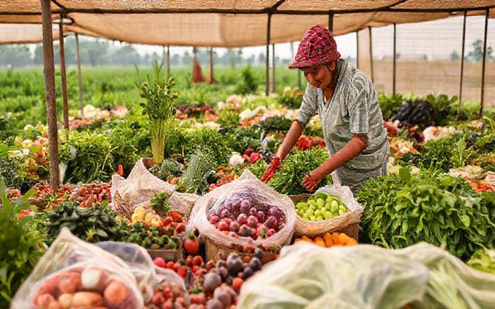 Why Local Food Systems Are the Key to Rural Resilience Against Price Hikes*