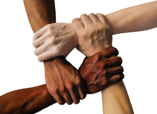 Immigration Reform: Pathways to a Stronger, More Inclusive Future