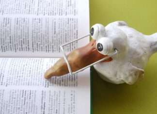 Key Employment Law Changes and What They Mean for You