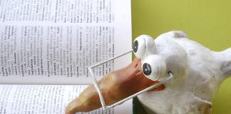 Key Court Rulings: What Employers Need to Know