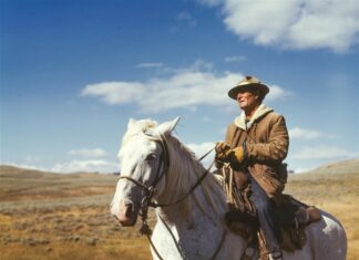 Seasonal Workers: How Immigration Shifts Impact Your Opportunities